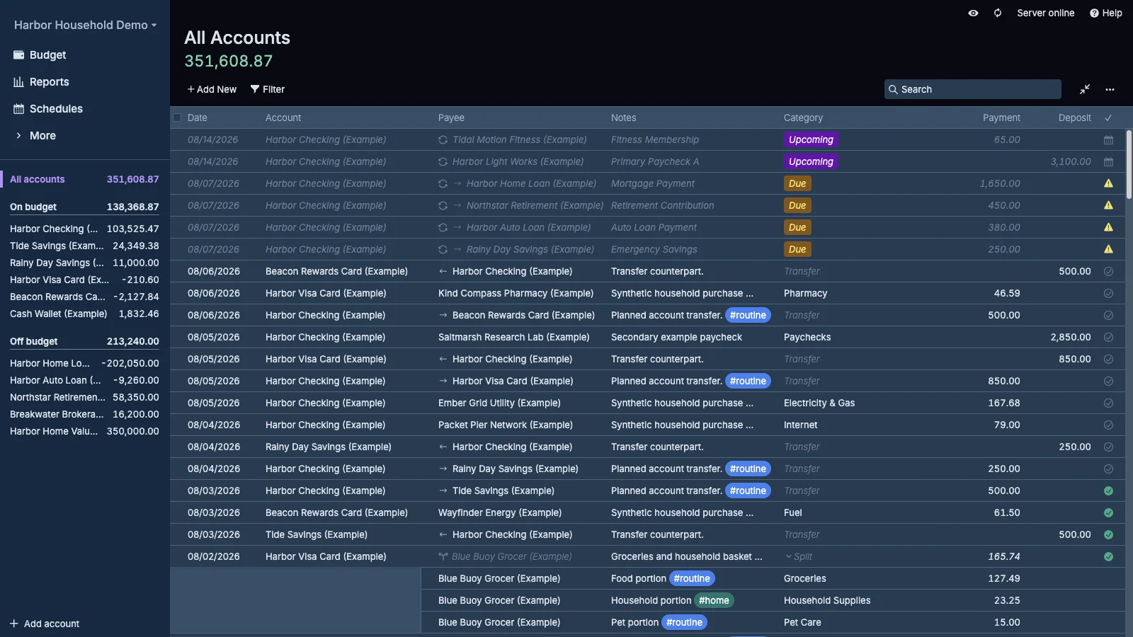 Managed Actual Budget All Accounts Summary in dark theme