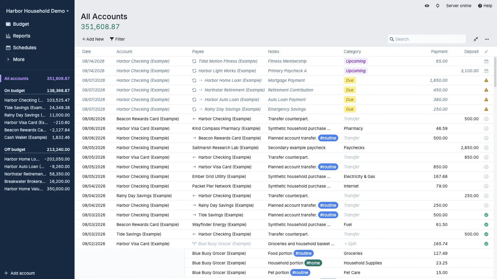 Managed Actual Budget All Accounts Summary in light theme