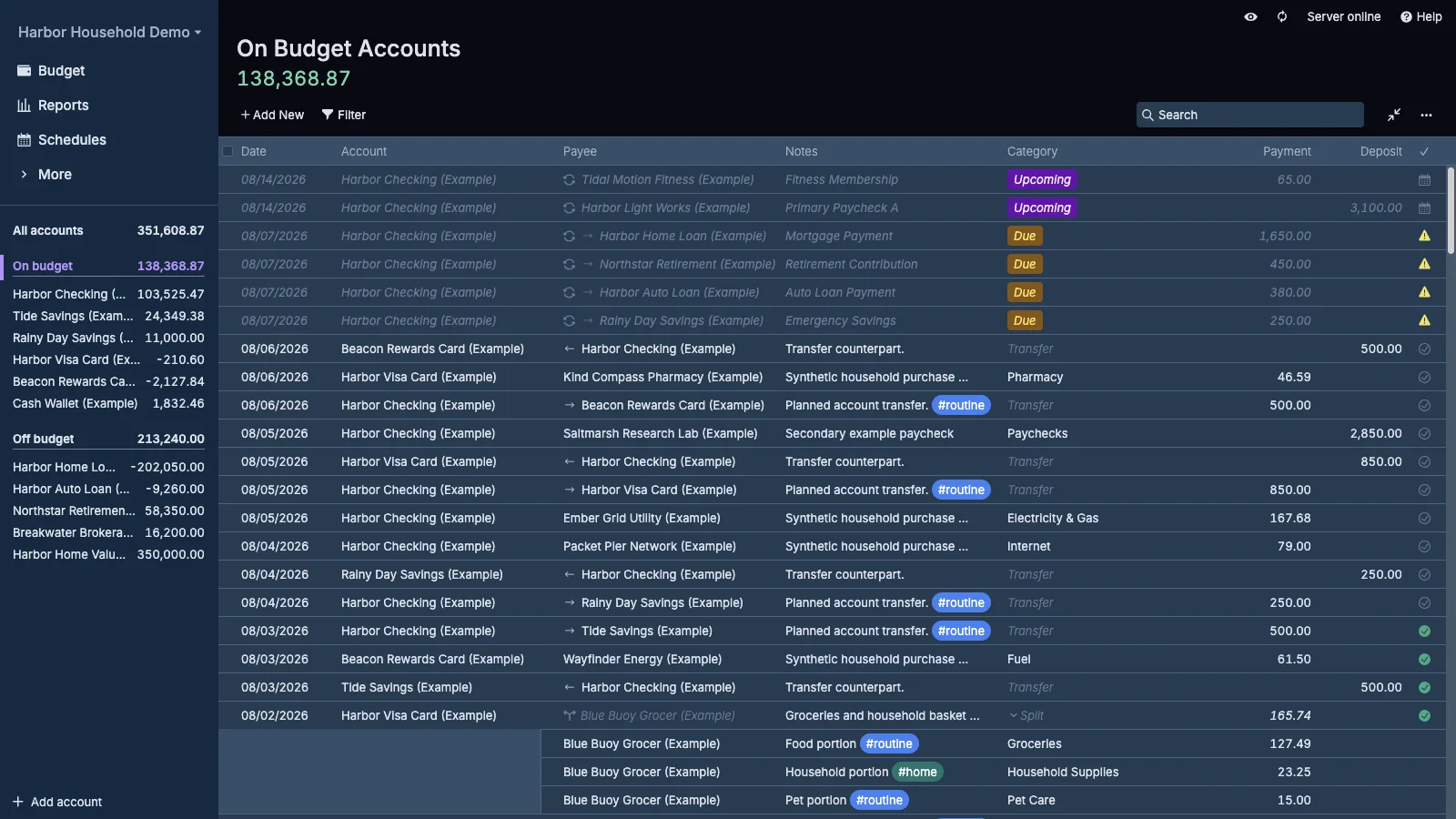 Managed Actual Budget On Budget Accounts in dark theme