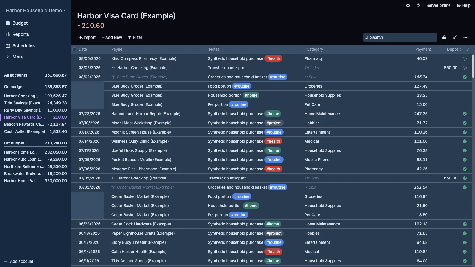 Managed Actual Budget Visa Credit Card Register in dark theme