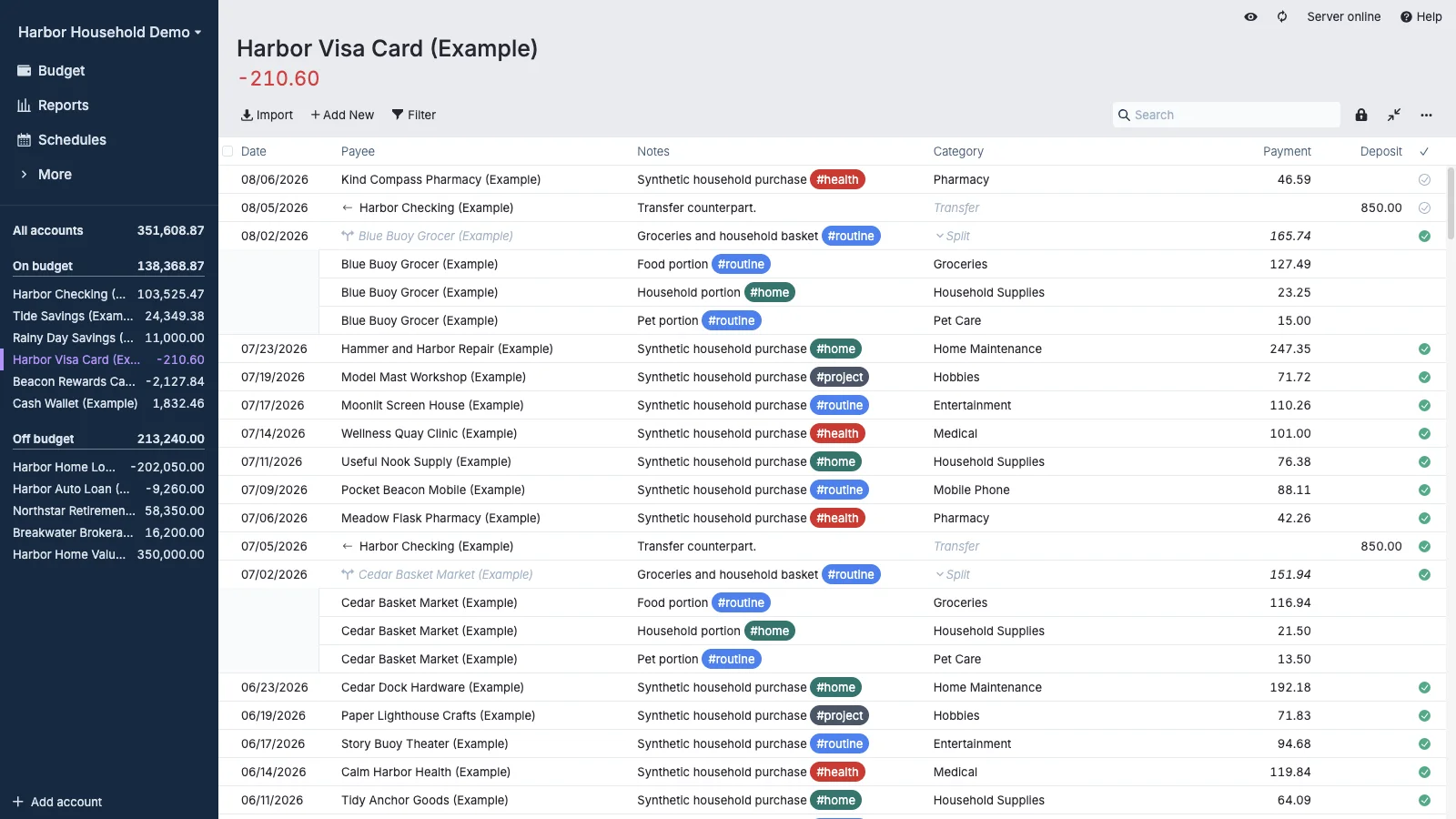 Managed Actual Budget Visa Credit Card Register in light theme