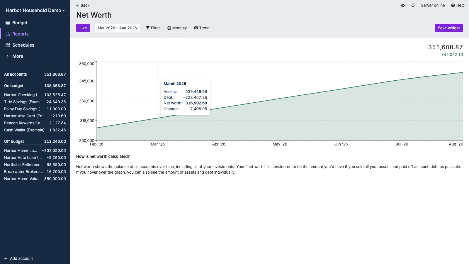 Managed Actual Budget Net Worth Report in light theme