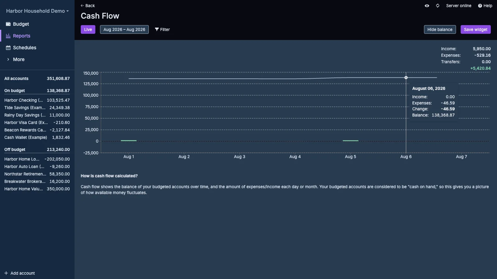 Managed Actual Budget Cash Flow Report in dark theme