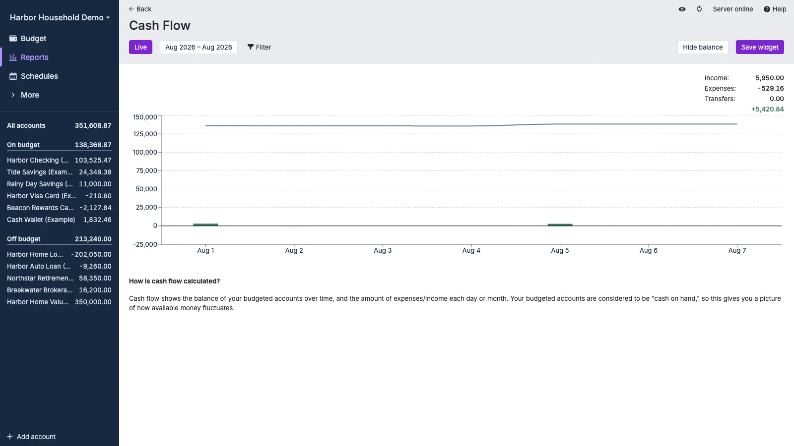 Managed Actual Budget Cash Flow Report in light theme