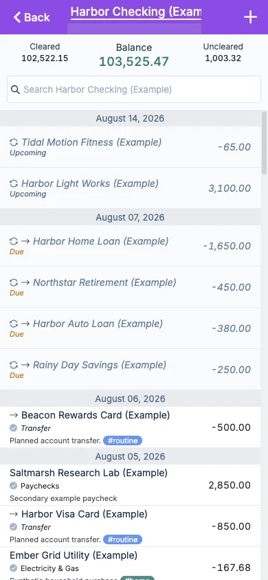 Managed Actual Budget Mobile Checking Register in light theme