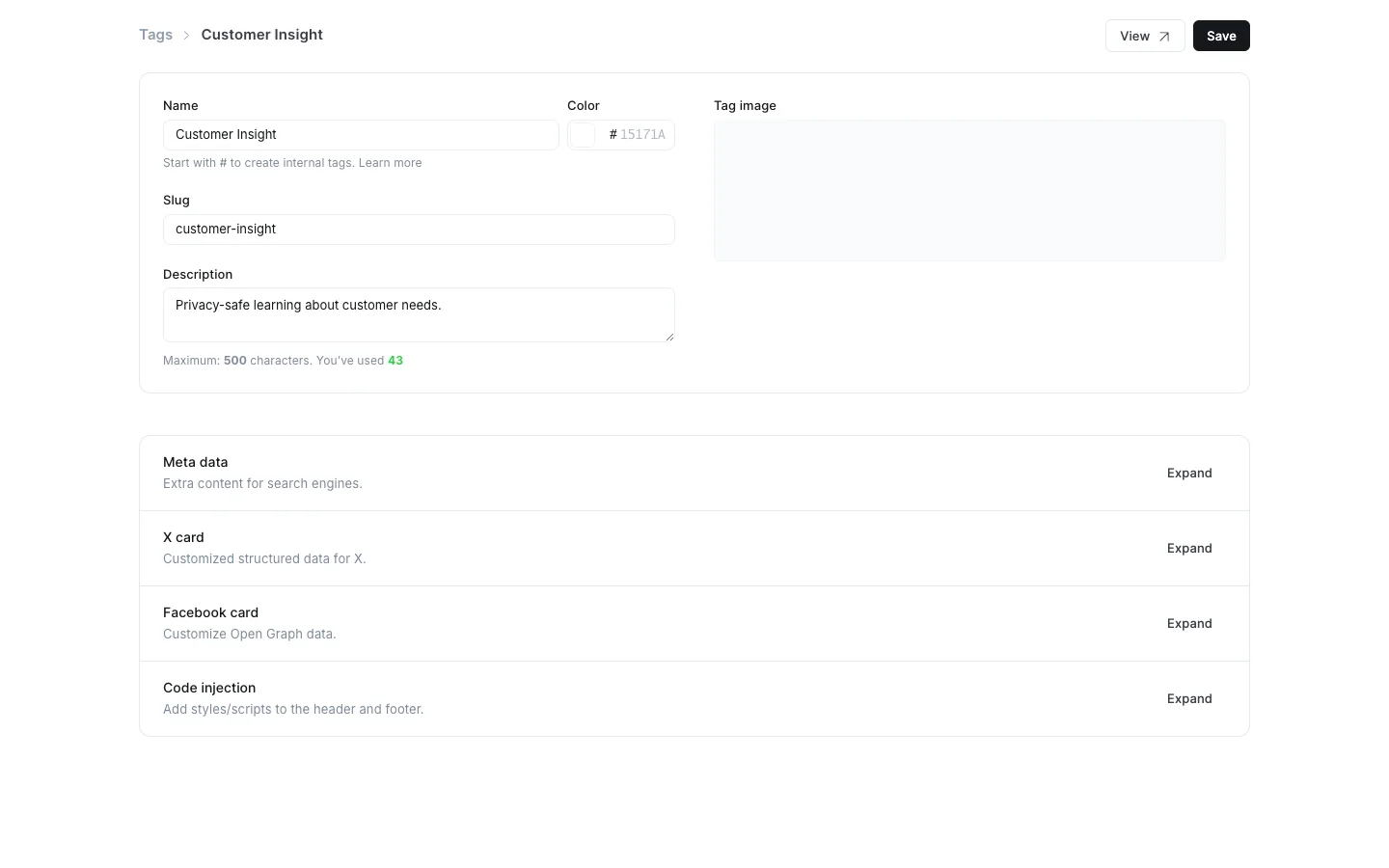 Customer Insight Tag Detail and Metadata Workspace