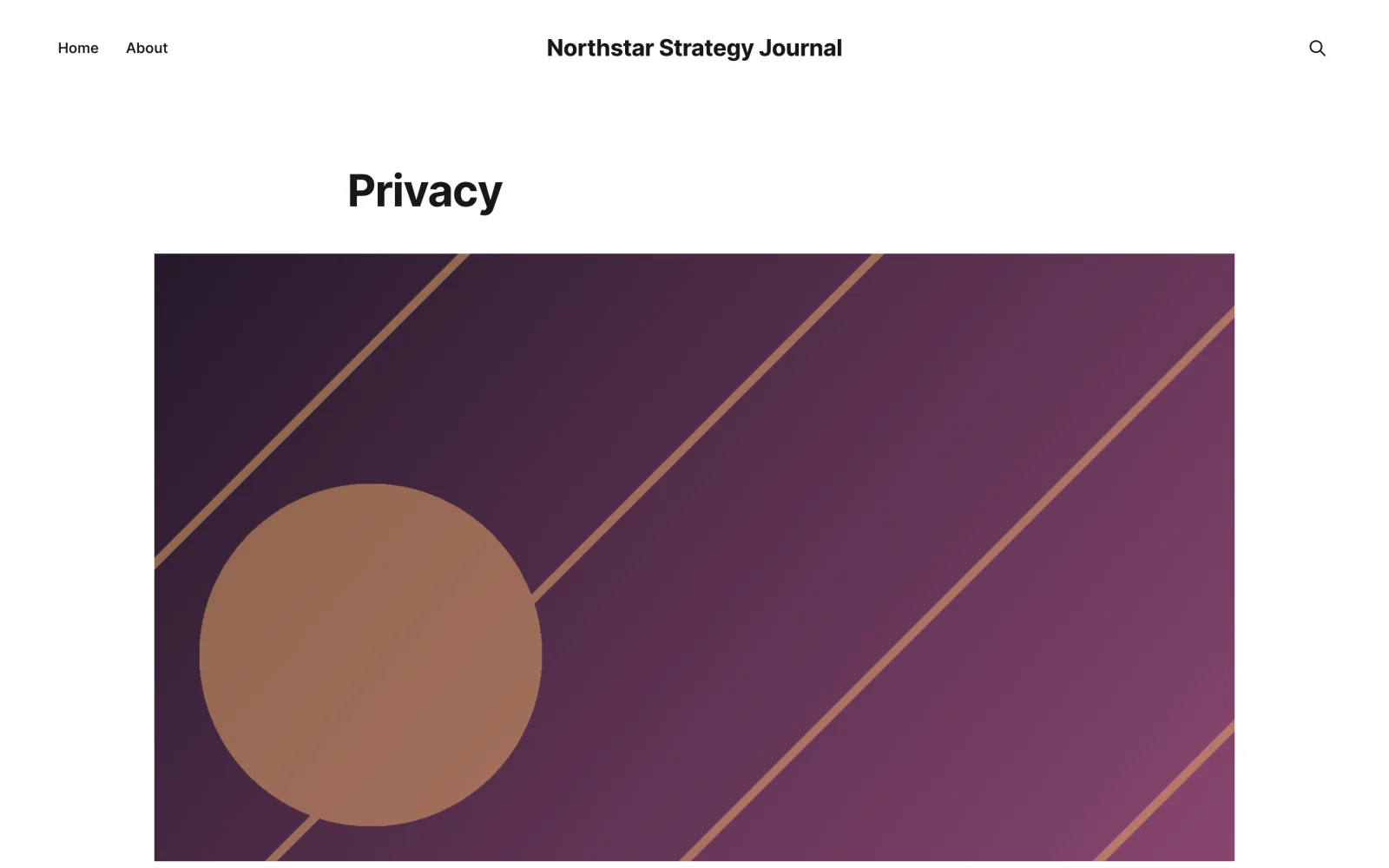 Privacy Page Hero and Feature Artwork