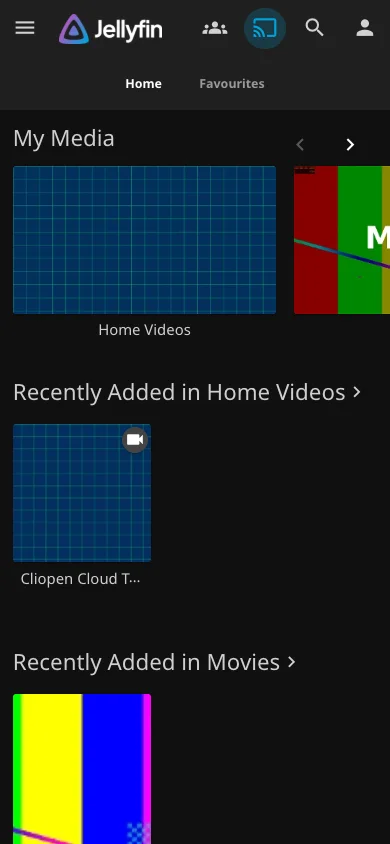 Responsive Jellyfin library on mobile