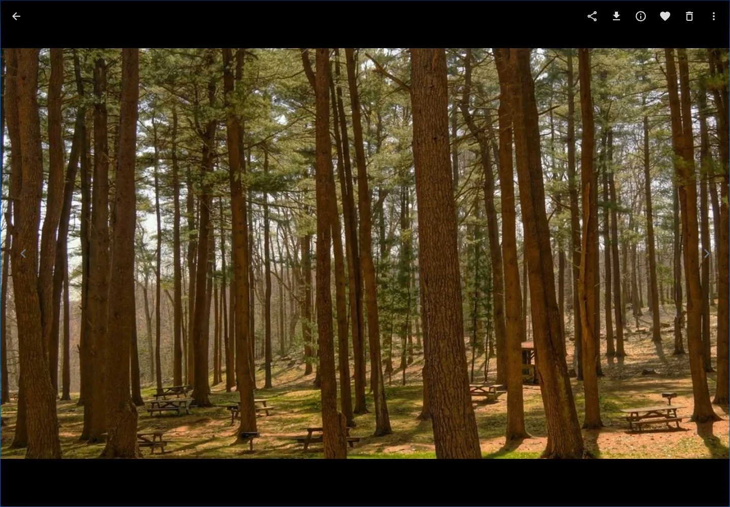 Video detail viewer