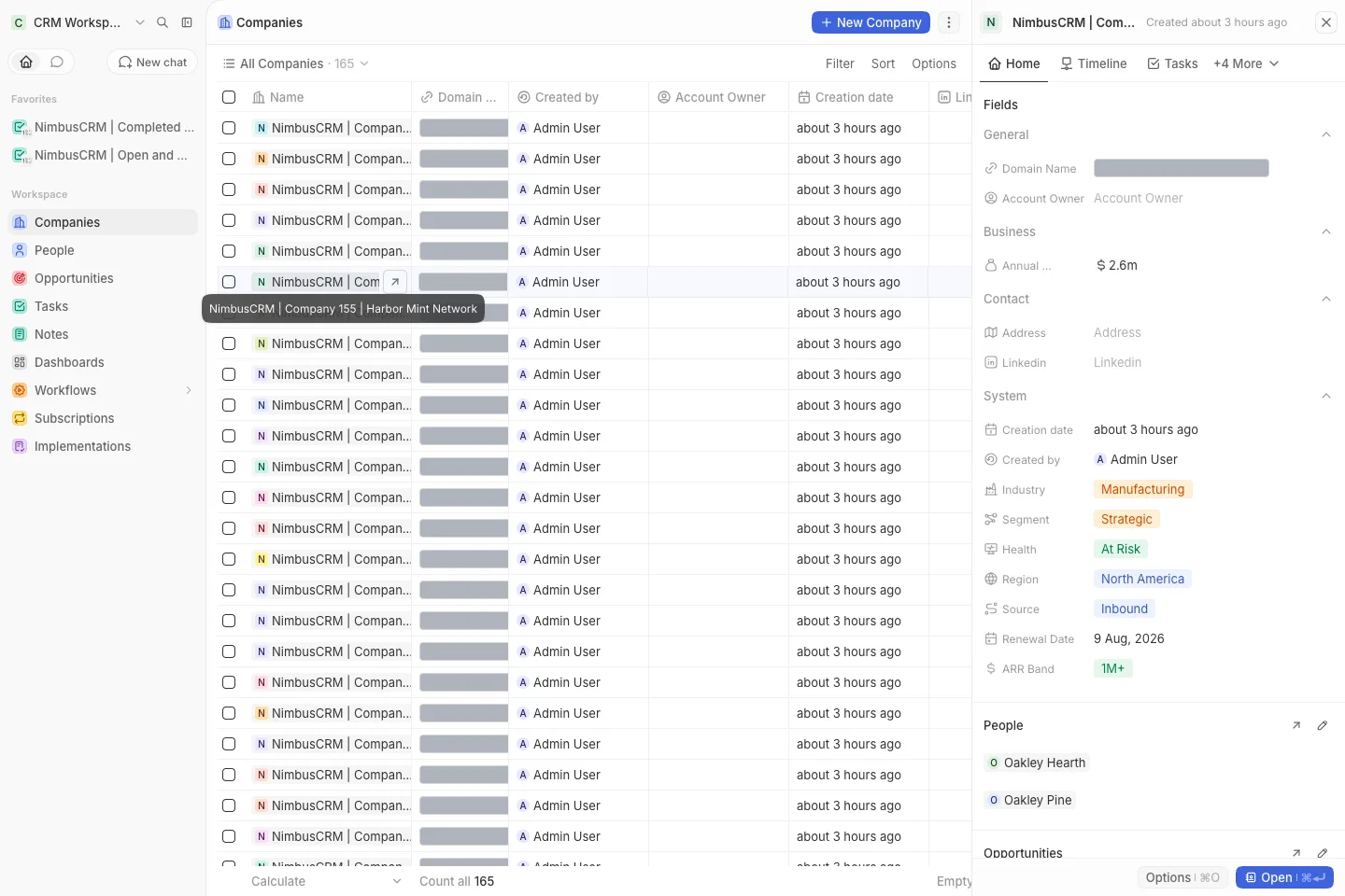 CRM Workspace - companies - custom fields (light)