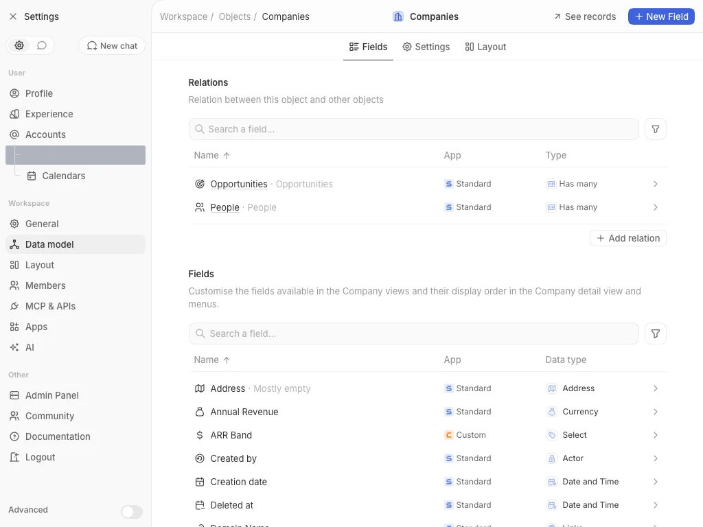 CRM Workspace - data model - custom fields (light)