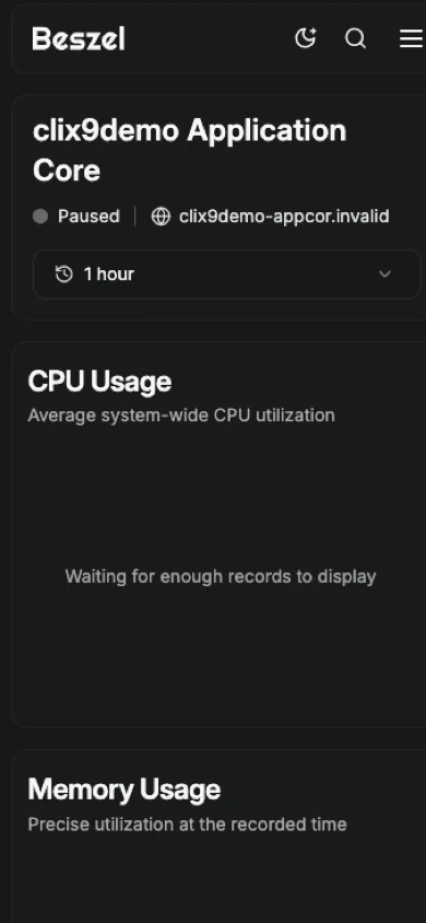 Application Core Metrics Focused View Crop - mobile dark in the Beszel interface