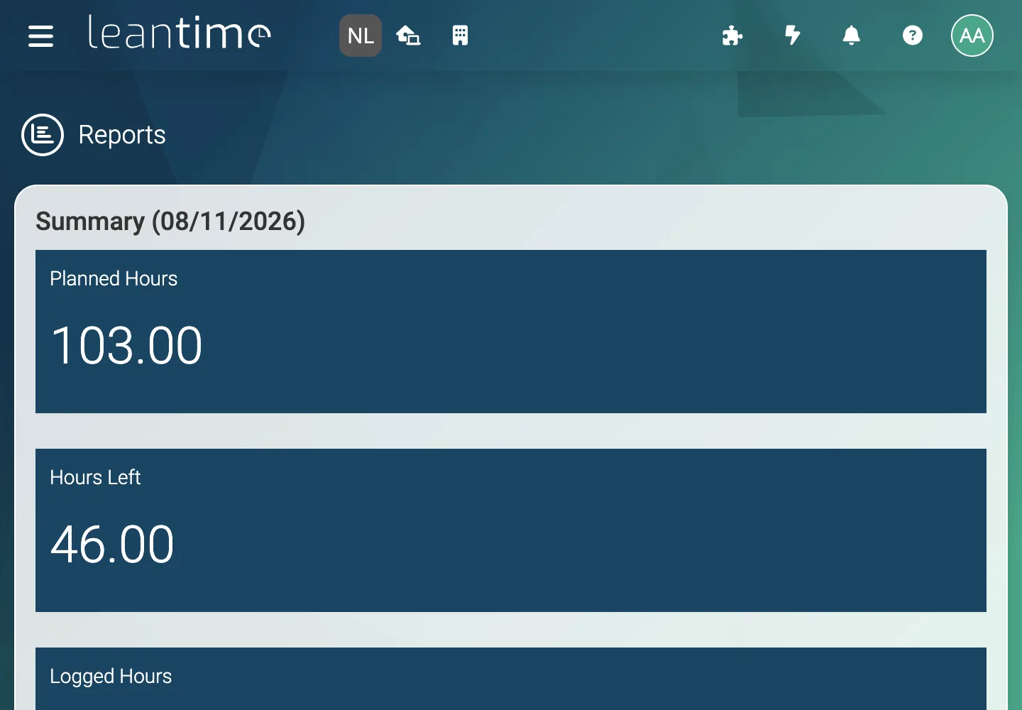 Project Reports Dashboard - desktop light theme in Leantime