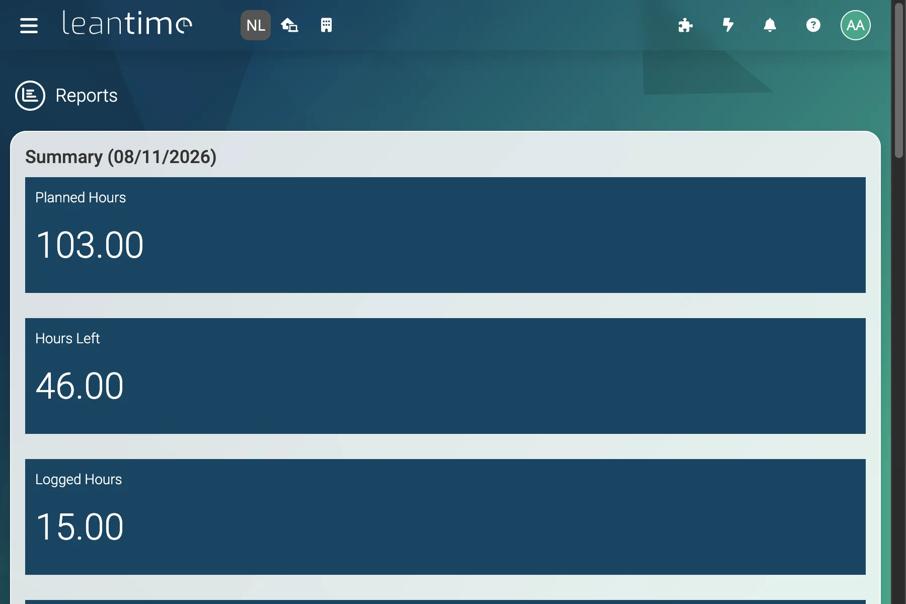 Project Reports Dashboard - wide desktop light theme in Leantime