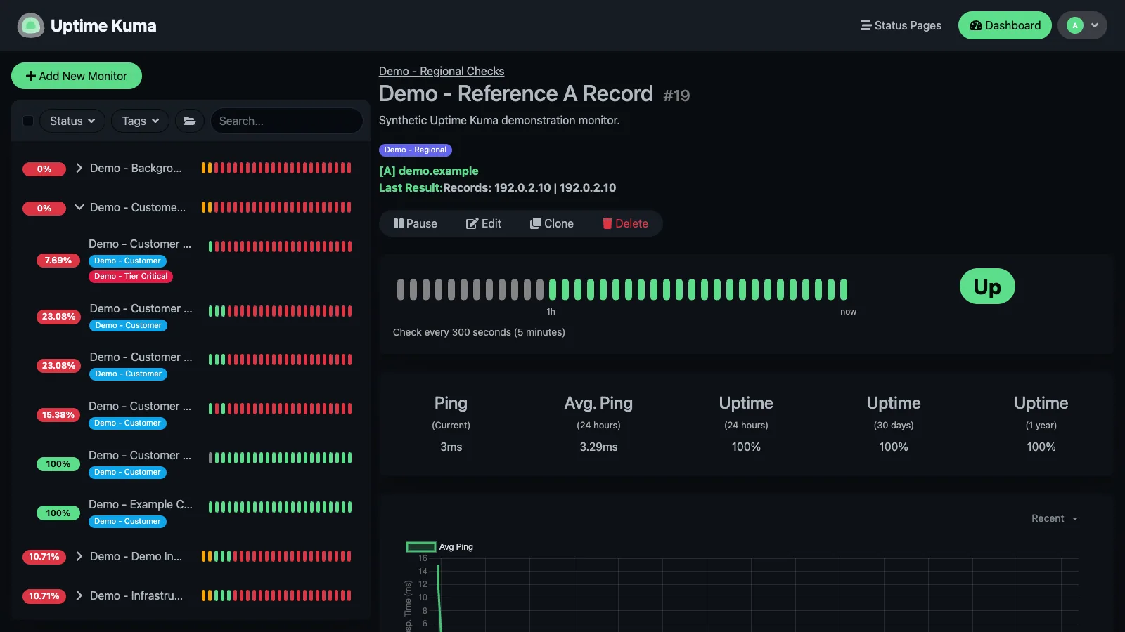 DNS monitor details in the Uptime Kuma desktop interface